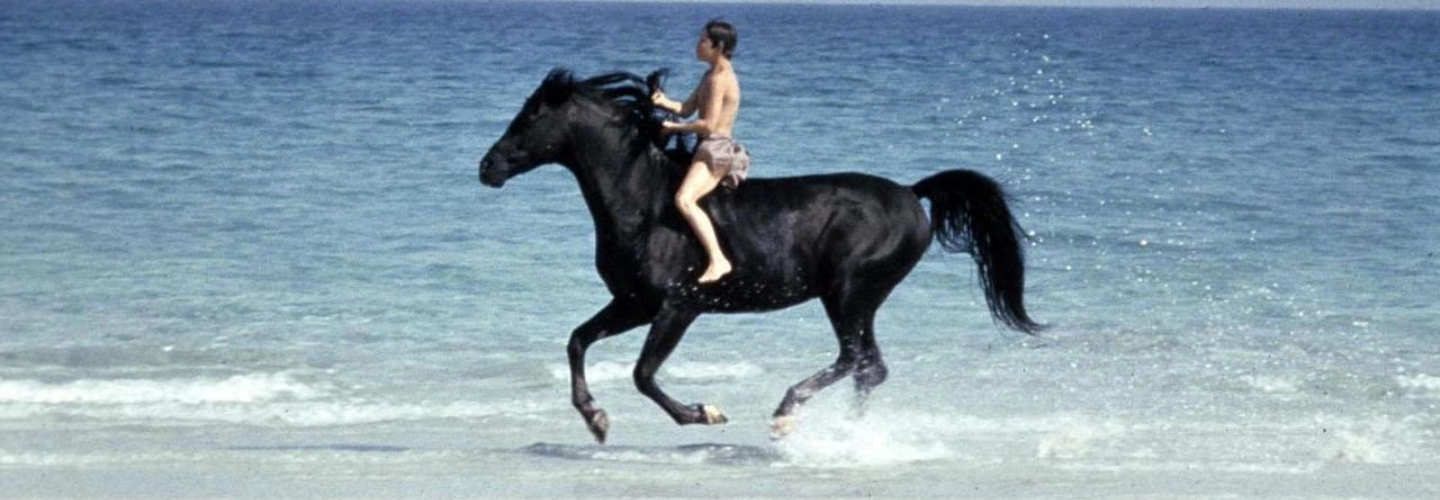 A young boy rides a black stallion on the beach