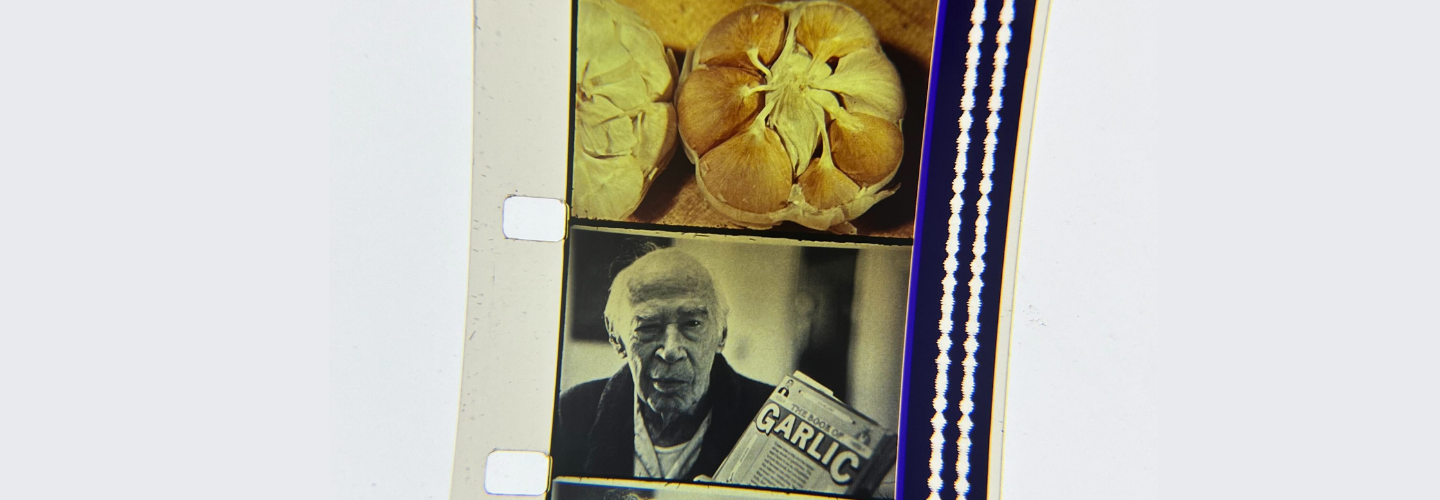 Close up of 16mm film strip, one frame of garlic another frame of old man holding "The Book of Garlic"