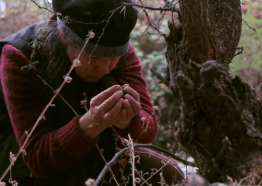 image of silver-haired woman kneeled beside tree with head down and hands cupped together 