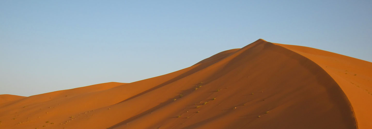 Saharan dunes