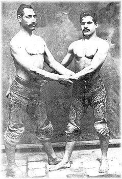 pahlavan_wrestlers.jpeg