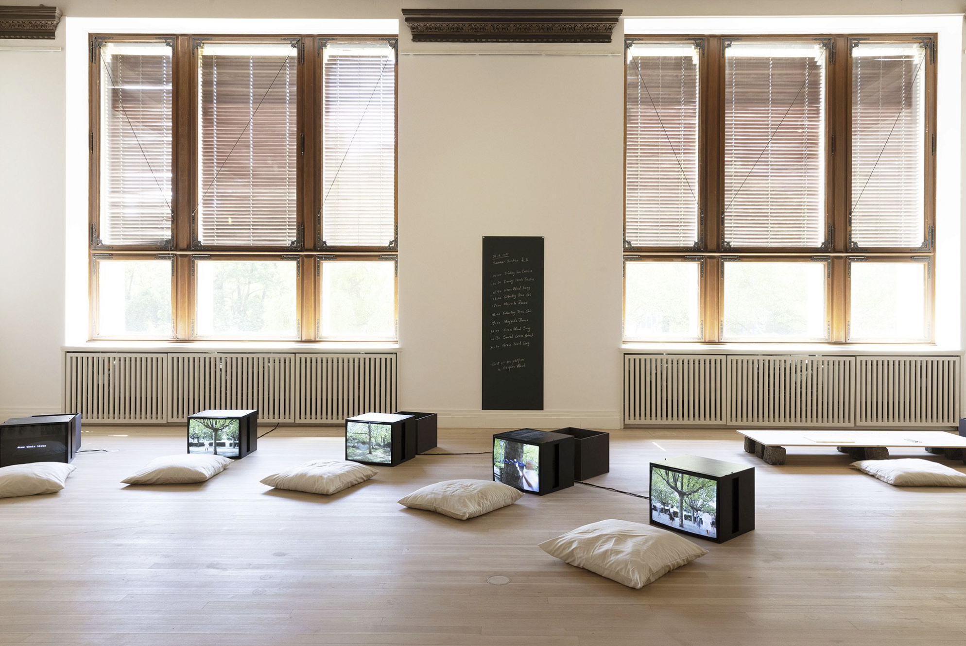 Zheng Bo, Ecosensibility Exercises, installation view, 2021