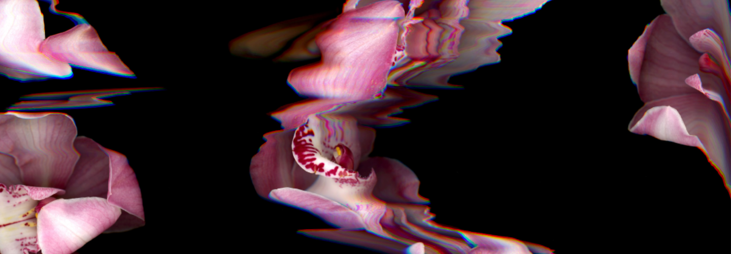 Colorful form suggesting pink flower with waves of digital interference