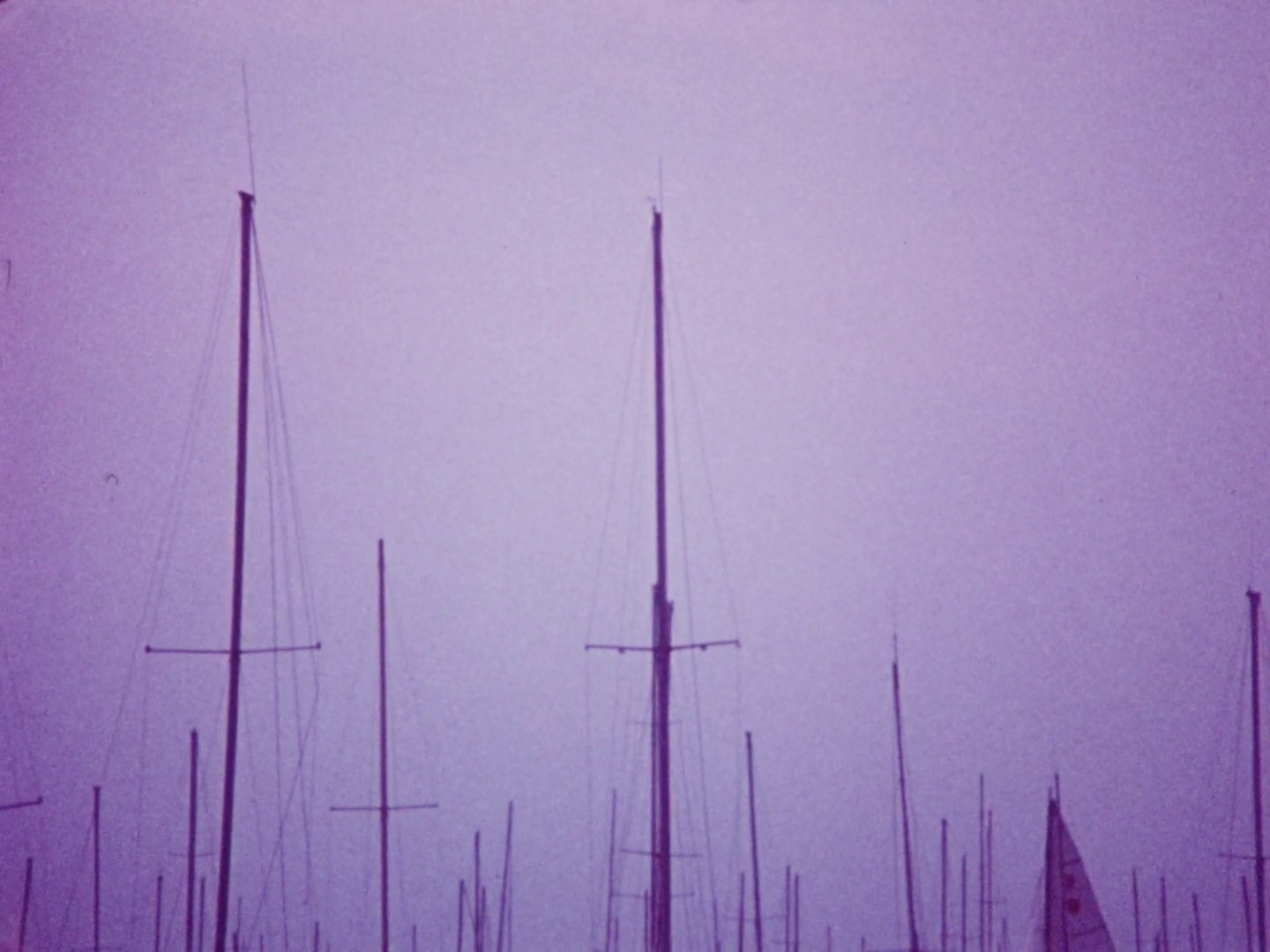 Lavender skyline of the top of boats