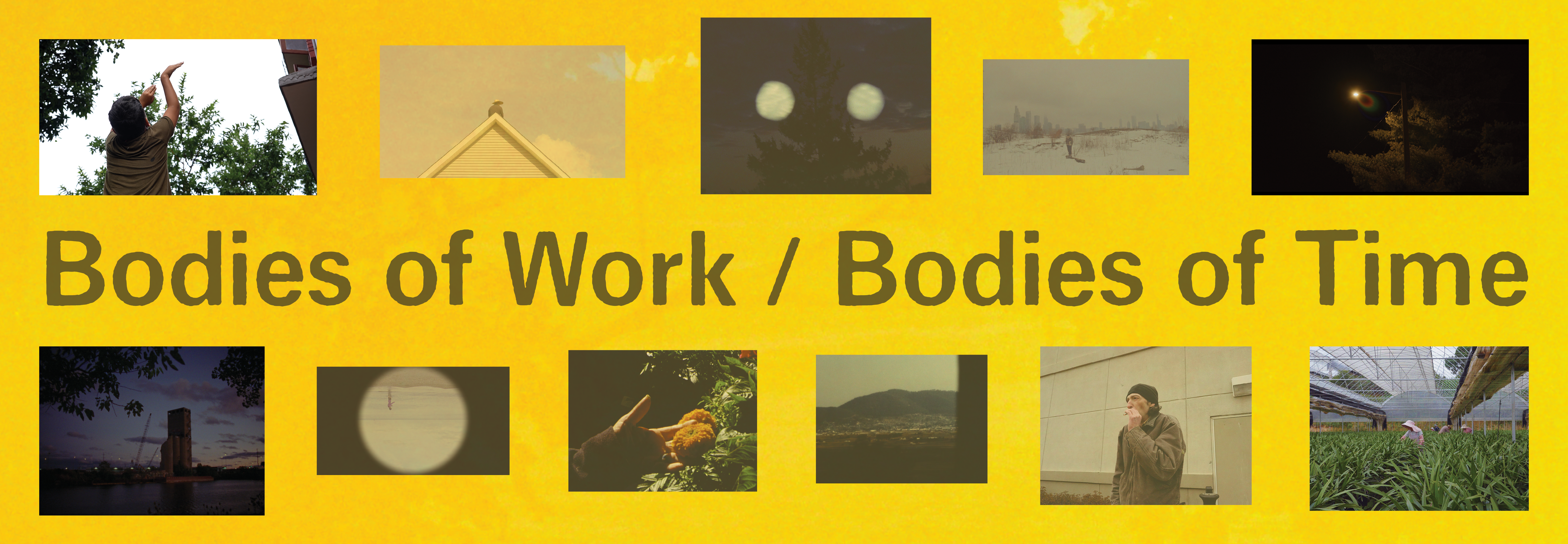 Yellow background with an array of film stills