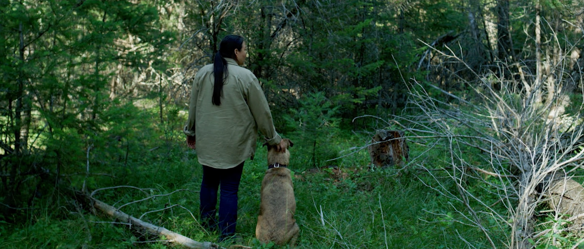 A woman and a dog stand in a forest.