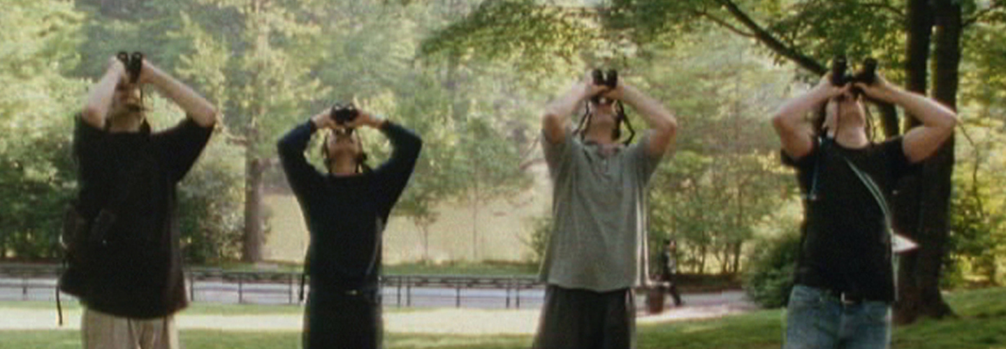 Four birdwatchers in park point their binoculars upward