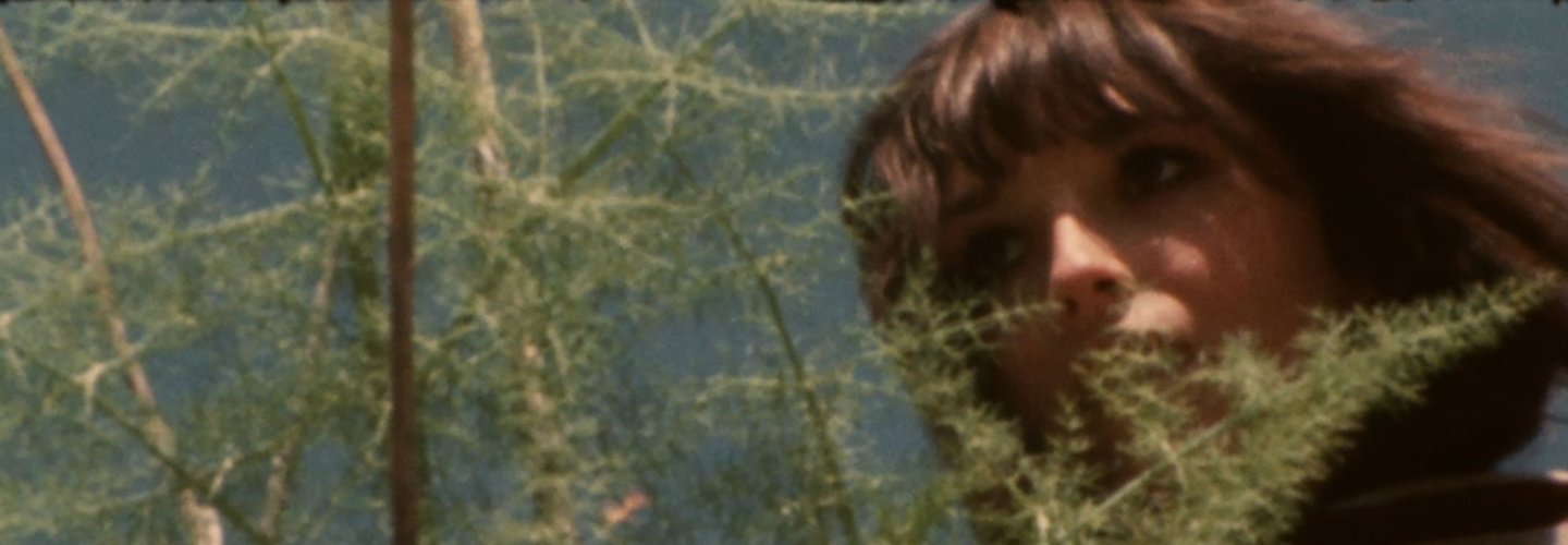 A young woman with brown hair can be seen through green foliage