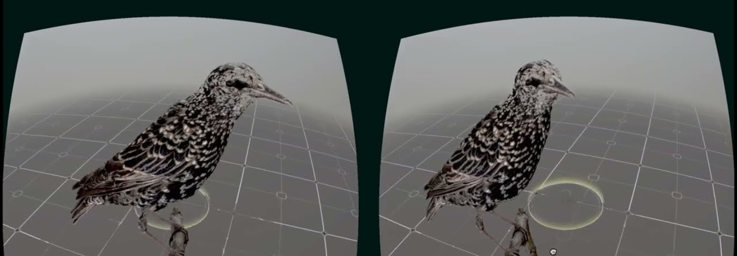 Two mirror images of a grey speckled bird perched atop a digital gridscape
