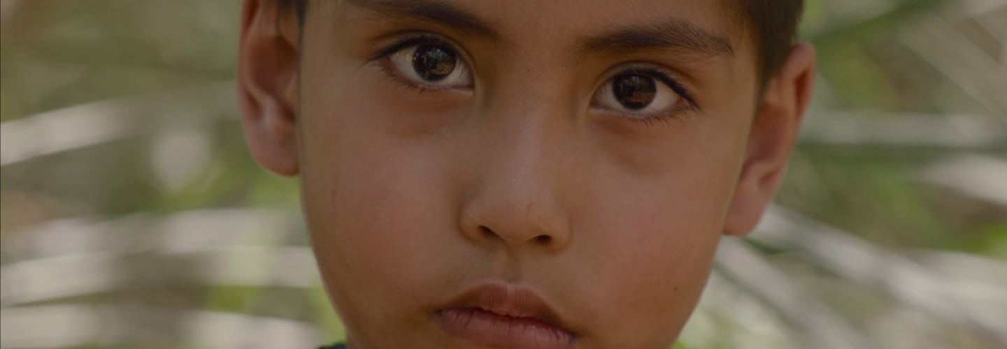 Close up of a boy's face