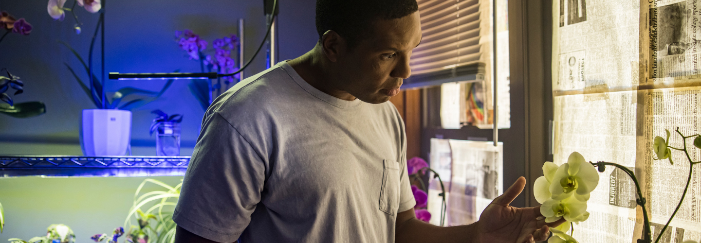 Image of a Black man reaching toward an orchid in a darkly lit room