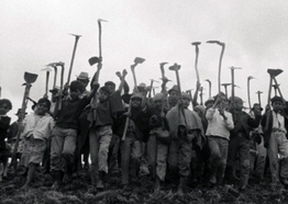 A group raise plows and hoes in defiance