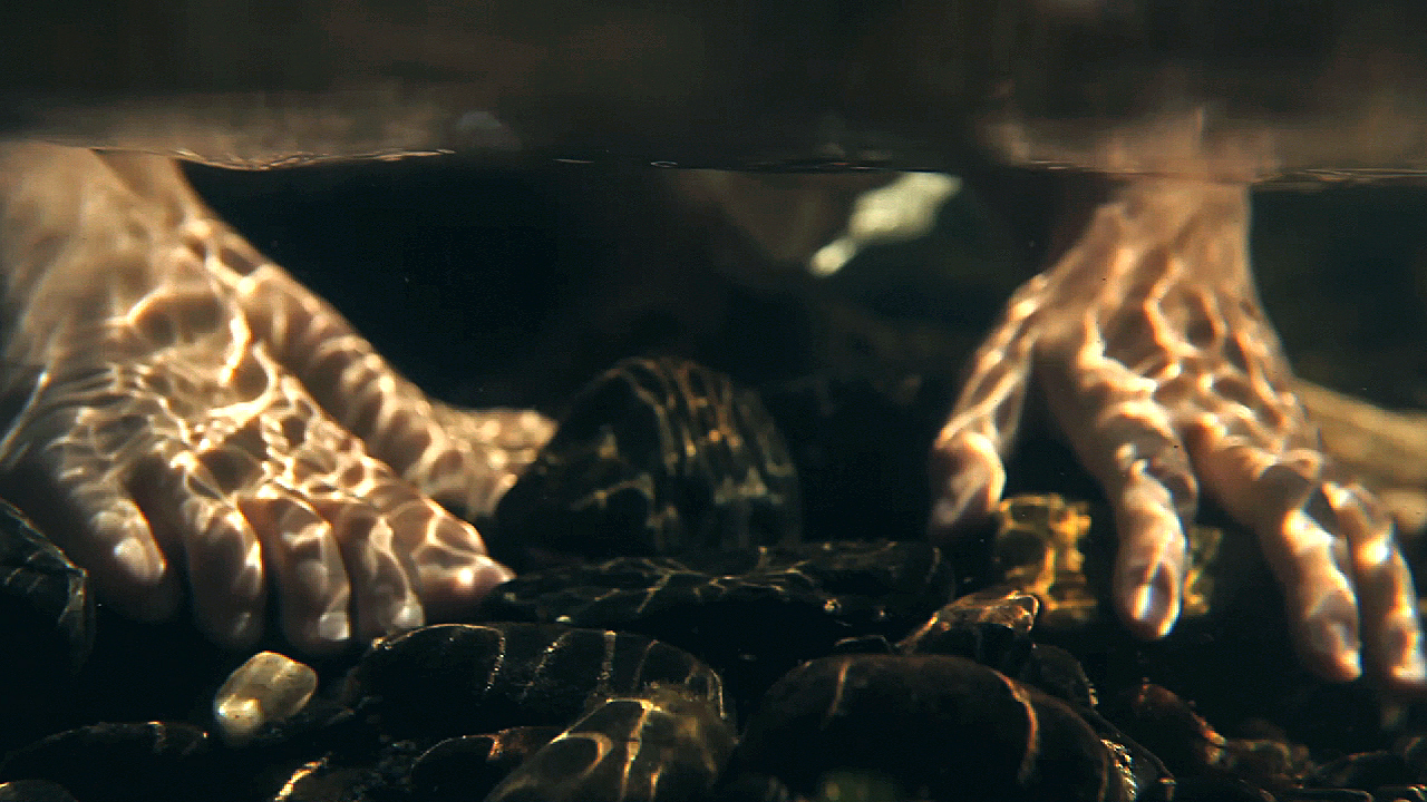 An elderly woman's face next to a light burst is exposed over beach rocks