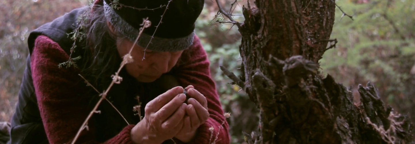 image of silver-haired woman kneeled beside tree with head down and hands cupped together