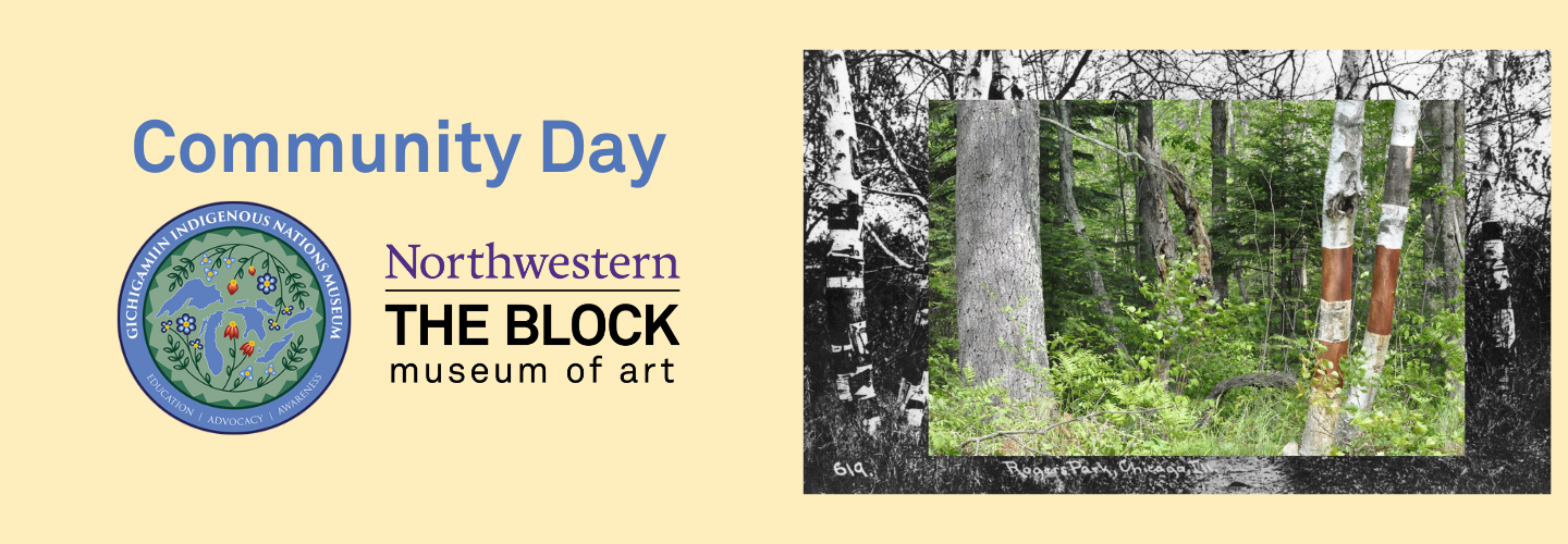 black and white photo of a grove of trees overlaying a color photograph focused on tree trunks