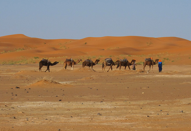 Erg Chebbi dunes